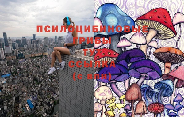 прущий лед Алзамай