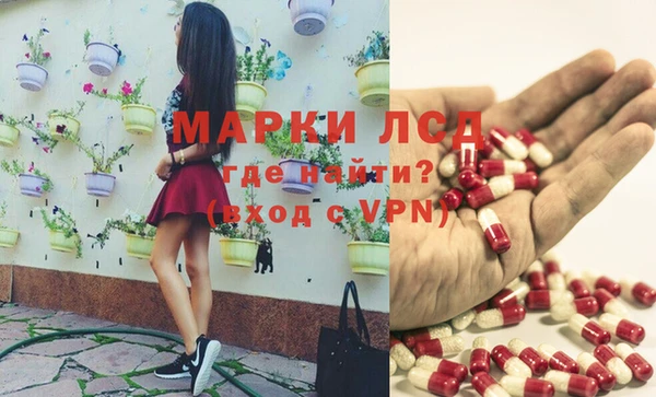 спайс Арсеньев