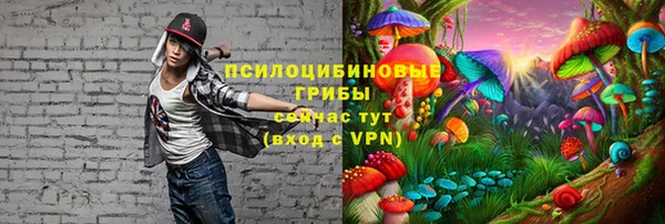 спайс Арсеньев
