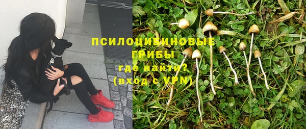 бутират Алексин