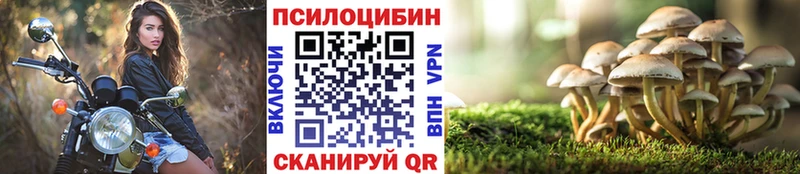 цены наркотик Армянск Галлюциногенные грибы Psilocybe
